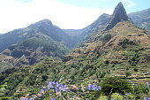 Terraced landscape at the Encumeada Pass on Madeira, Portugal