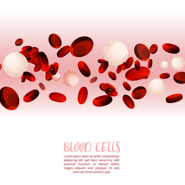 혈액 세포 배너 - wbc stock illustrations
