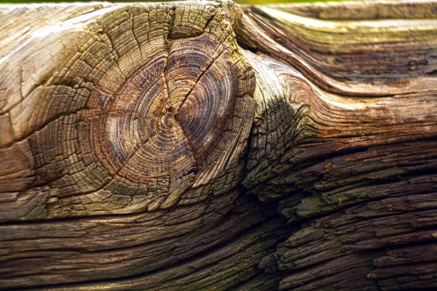 Close up view of a knot on old wood block
