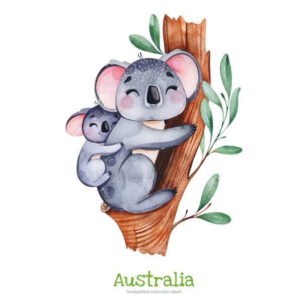 귀여운 코알라 유 칼 리 나무에 아기와 함께 - koala australian culture cartoon animal stock illustrations