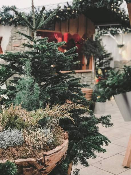 istock Christmas Market stalls 1077782658