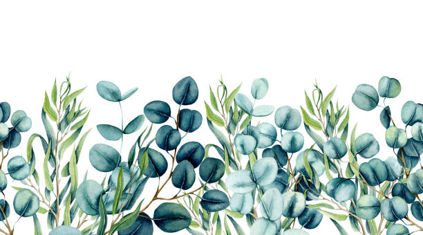 ilustrações de stock, clip art, desenhos animados e ícones de seamless border of watercolor eucalyptus leaves - gray silver environmental conservation backgrounds