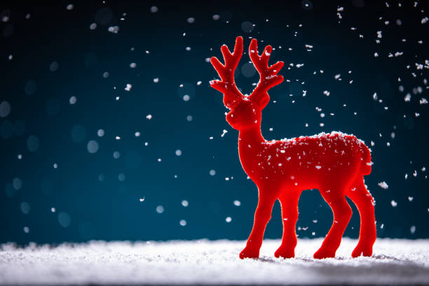 istock Christmas time background, red deer in snow, studio isolated 1077786144
