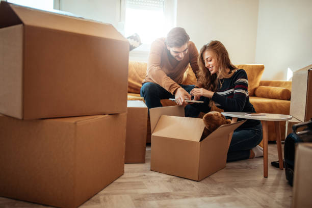 The start of something new Shot of a couple packing up boxes for moving into new apartment cardboard box photos stock pictures, royalty-free photos & images