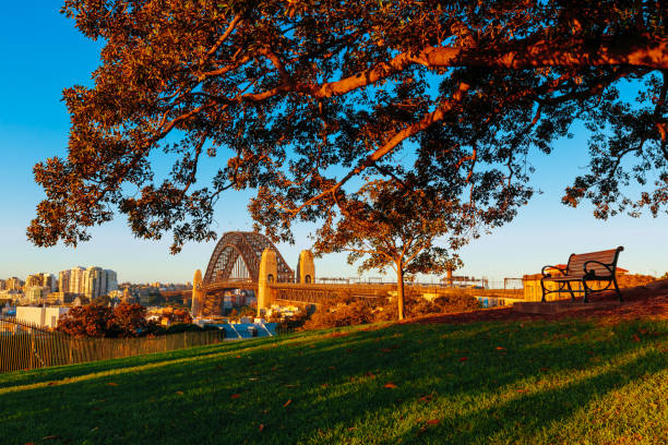 istock An overlooking view of Sydney’s Harbour Bridge from Sydney Observatory 1077804082