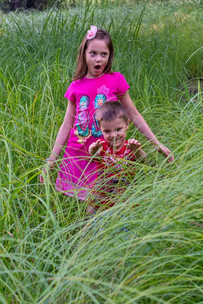 istock The brother and sister run through the tall grass 1077804810