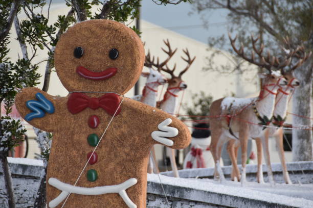 istock christmas decorations in corsican island 1077817646