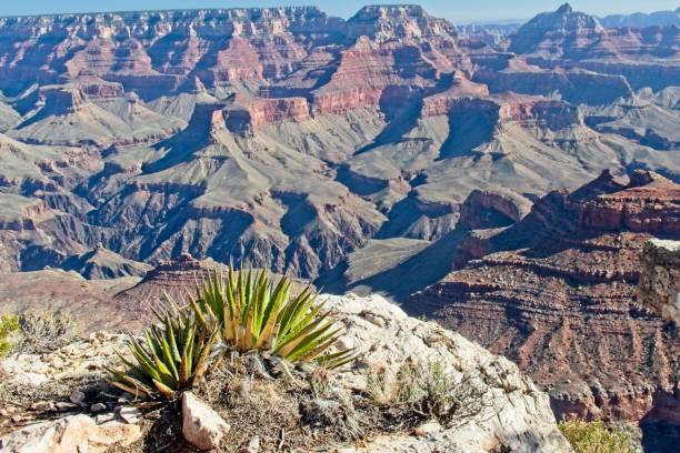 istock Garnd View of the Grand Canyon 1077820522