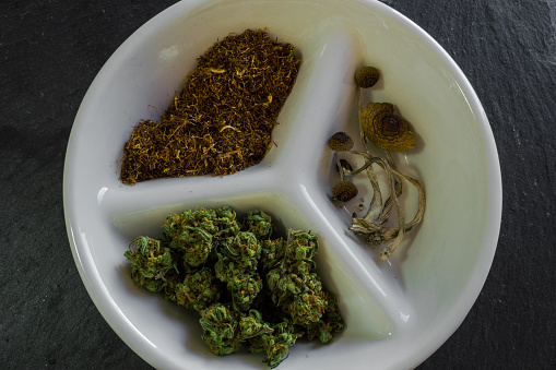 Dish divided in parts with different drugs: pile of delicious marijuana, chopped tobacco and hallucinogenic mushrooms. Natural drugs presentation.