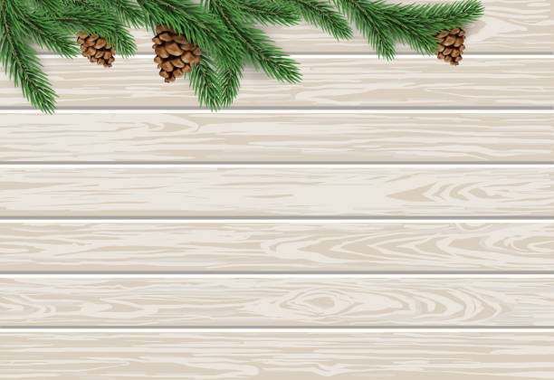 ilustraciones, imágenes clip art, dibujos animados e iconos de stock de fondo de madera con ramas de abeto verde realista con conos para el diseño de navidad y año nuevo. - pine cone