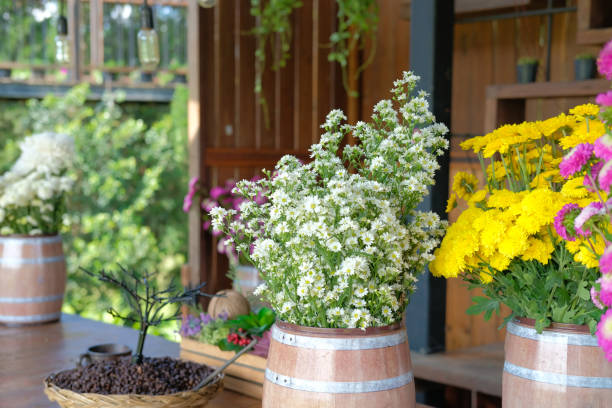 istock flora bouquet decorating at small flower shop 1077835574