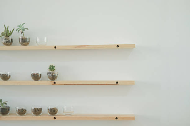 istock succulent cactus plant in pot decorating on wood shelf 1077835624