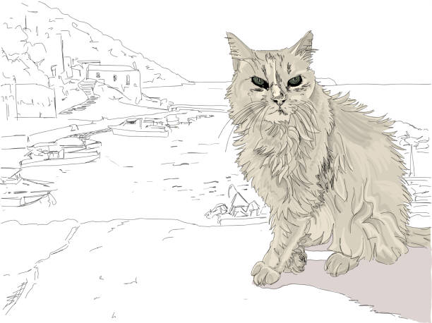 Stray cat on a Greek Island. Hand drawn vector illustration, Close up of a beautiful stray cat on a Greek Island in the Mediterranean, overlooking a fishing village. Black and white except for the cat. domestic cat greece stock illustrations