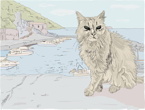 Stray cat on a Greek Island Hand drawn vector illustration, Close up of a beautiful stray cat on a Greek Island in the Mediterranean, overlooking a fishing village. domestic cat greece stock illustrations