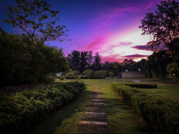 istock The Garden at night 1077839488