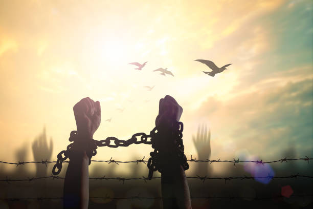istock International human rights day concept 1077842900