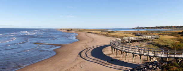istock The Dune of Bouctouche 1077844856