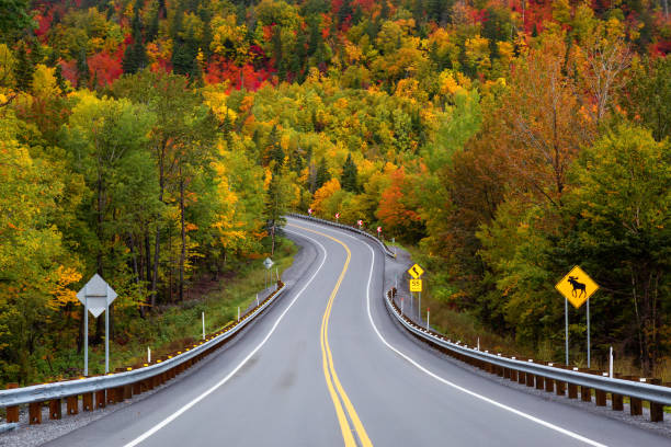 Scenic Road during Fall Season Scenic road in the mountains surrounded by vibrant Fall Color Trees. Taken in Forillon National Park, near Gaspé, Quebec, Canada. forillon national park stock pictures, royalty-free photos & images
