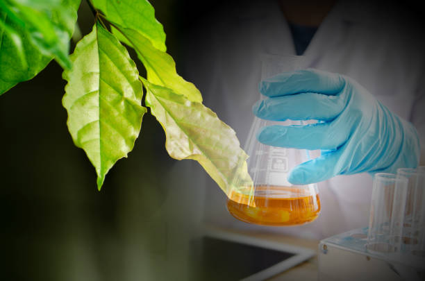 istock Green leaf texture. Leaf texture background ,droping and test tube ,cosmetic ,science concept 1077845196