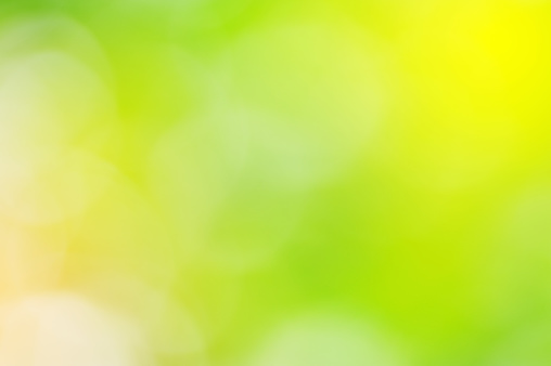 bright blurred green background