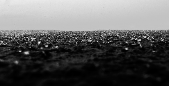 Black And White Photograph of raindrops splashing on top of the Ocean