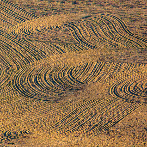 istock Curving till marks on brown dirt field 1077872738