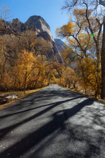 istock Zion National Park in Utah 1077873268