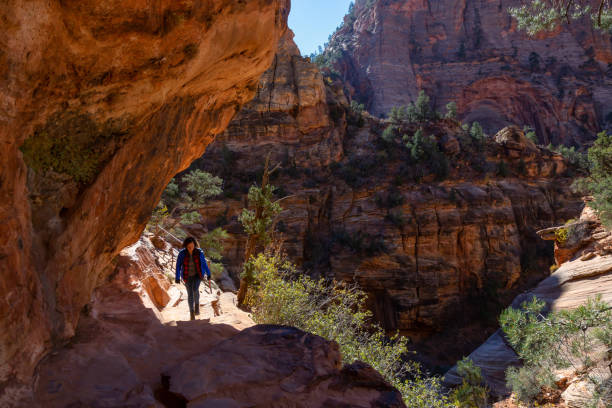 istock Zion National Park in Utah 1077874940