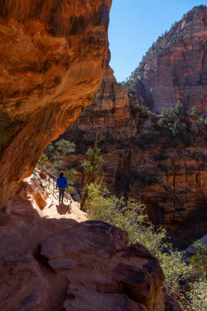 istock Zion National Park in Utah 1077874942