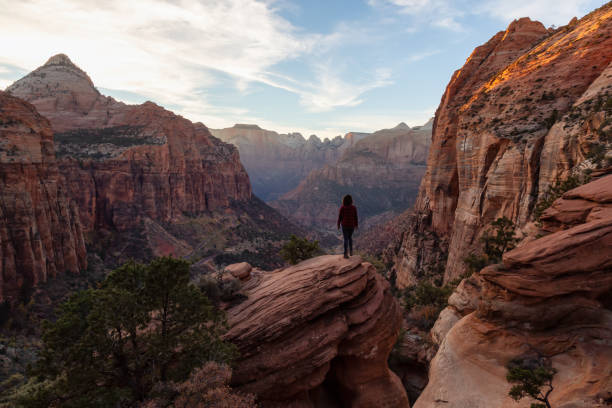 istock Zion National Park in Utah 1077880956