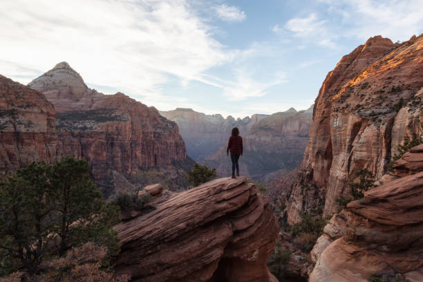 istock Zion National Park in Utah 1077880958