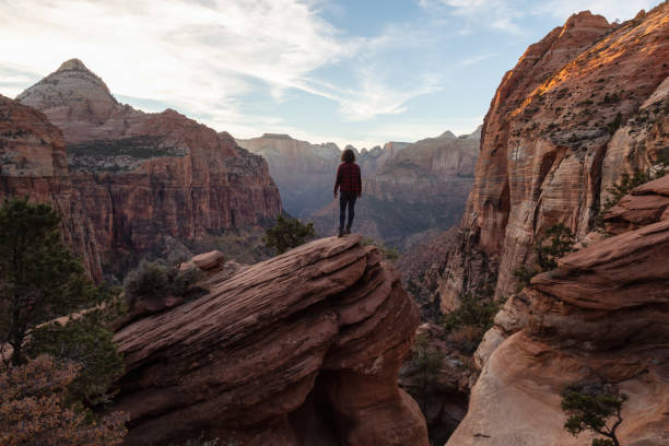 istock Zion National Park in Utah 1077880960