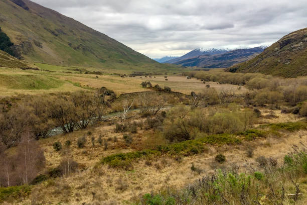 istock Beautiful wilderness scenery in Fiordland and Haast Pass 1077881000