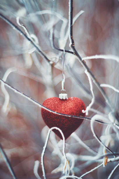 istock Heart shaped Christmas ornament on snowy branches 1077888234