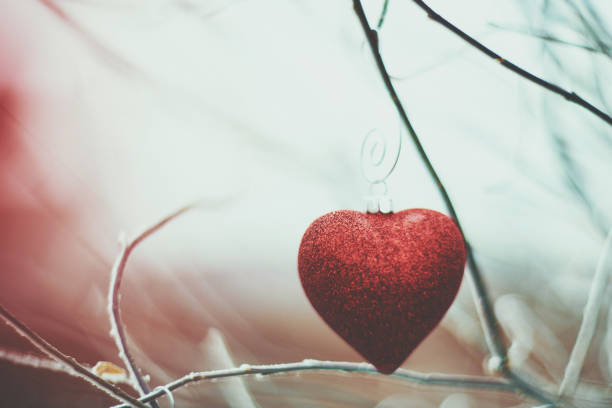 Heart shaped Christmas ornament on snowy branches