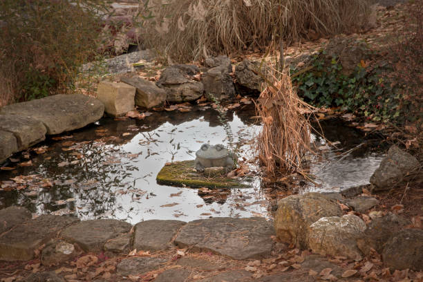 istock frog statue in pond in autumn 1077888284