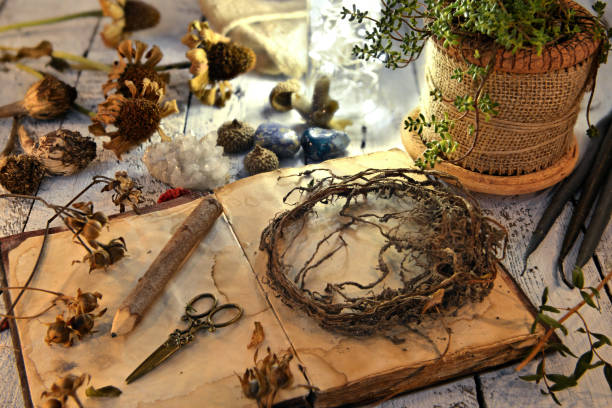 istock Old plant roots, open diary book and seeds on wooden planks 1077891944