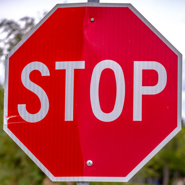 istock Red stop sign against trees and sky on a sunny day 1077892084