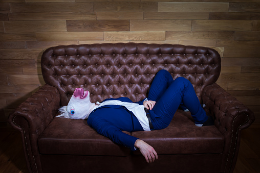 Divertida unicornio en elegante traje se encuentra en el sofá photo