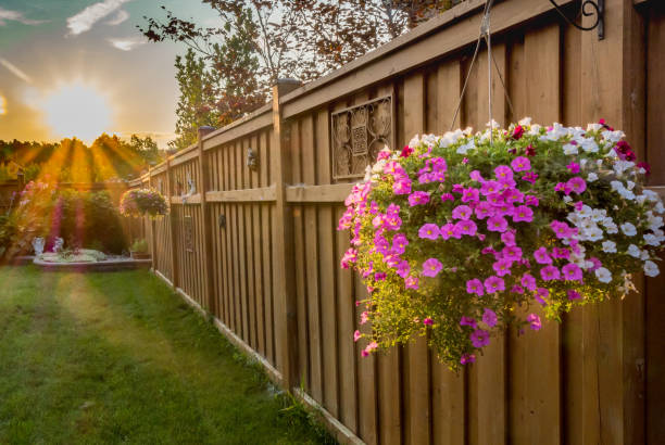 milioni di campane - fence formal garden gardening ornamental garden foto e immagini stock