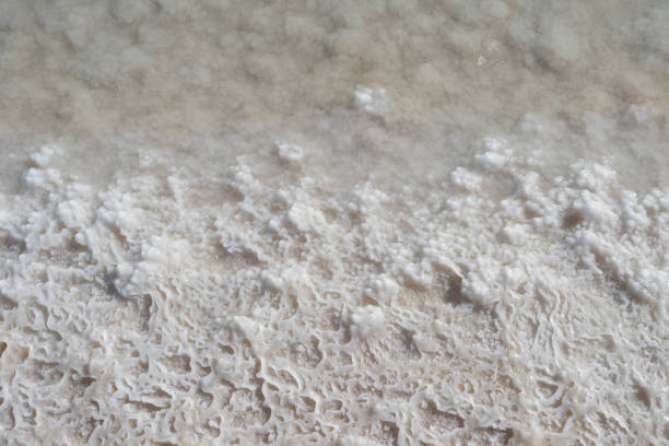 istock Dead Sea unique salty shore on a clear day close up 1077896578