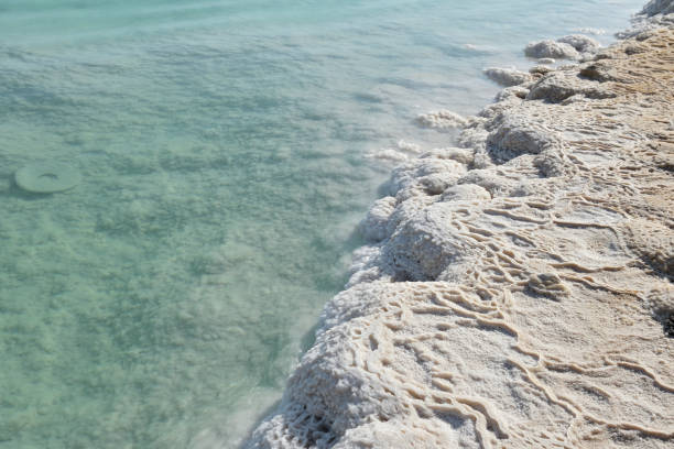 istock Dead Sea unique salty shore on a clear day close up 1077896584