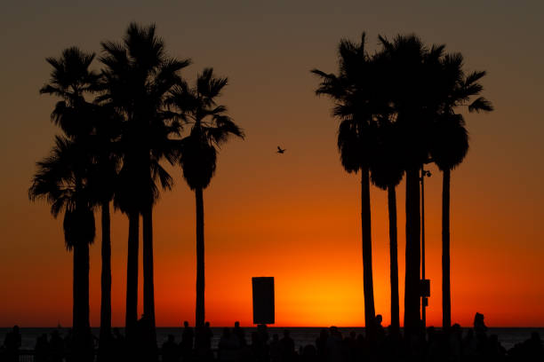istock An evening sky over the ocean in Venice Beach, California 1077903210