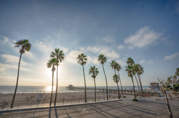 istock Manhattan Beach pier with aplm trees along the beach in California 1077903966