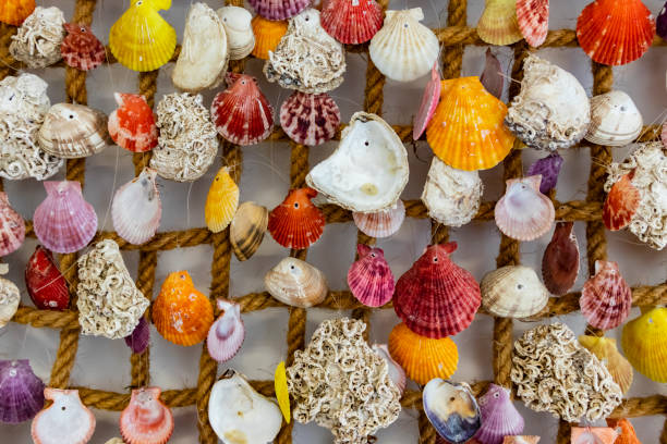 istock close up seashells ornaments on the rope 1077910726