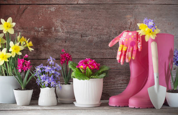 istock rubber boots and spring flowers on wooden background 1077911520