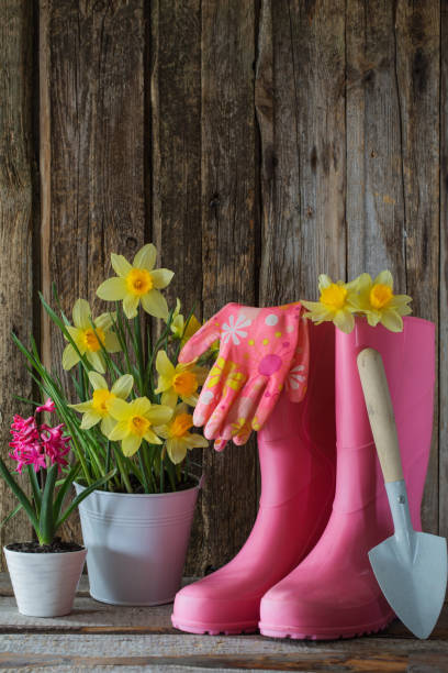 istock rubber boots and spring flowers on wooden background 1077911548