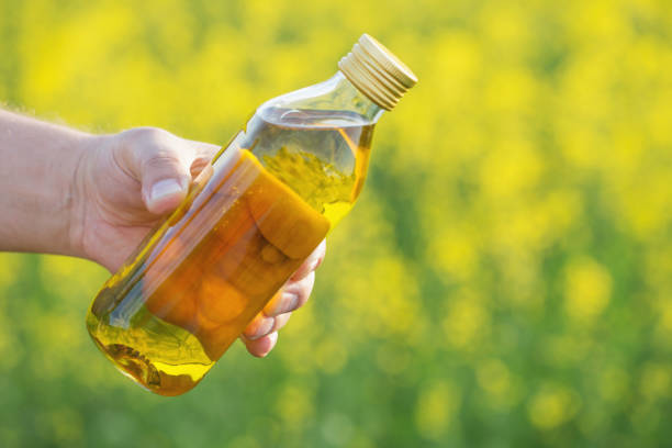 istock rapeseed oil in bottle in hand on background rape field 1077911572