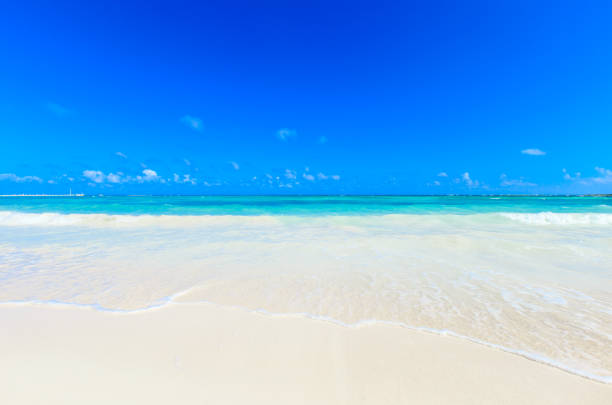 beach and beautiful tropical sea
