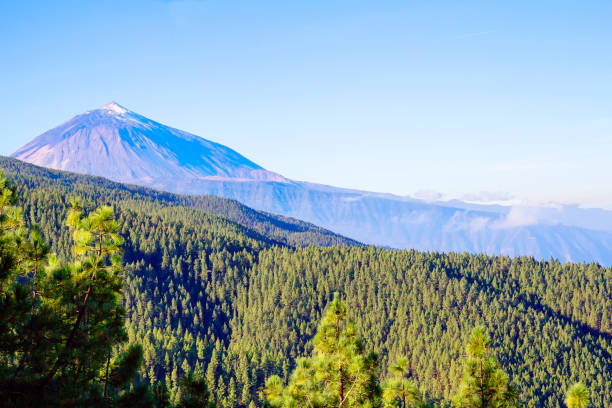 istock Tenerife. Canary islands. Spain. The Teide Volcano. 1077917024